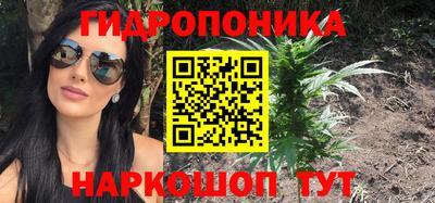 мяу мяу мука Камышлов