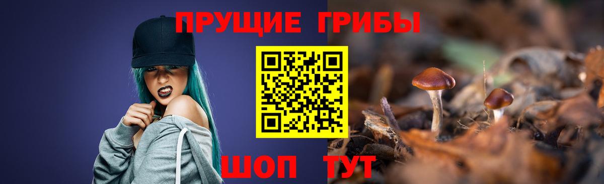 Шали  Псилоцибиновые грибы ЛСД  Галлюциногенные грибы мухоморы  Вход с VPN 